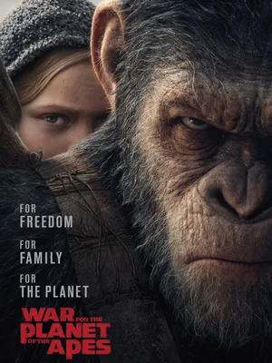 Купить постер (плакат) Планета обезьян: Война в интернет-магазине (артикул  103608)