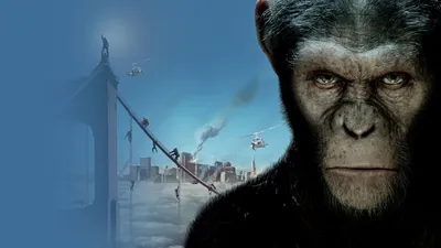 Планета обезьян: Революция»: как проходили съемки - Вокруг ТВ.