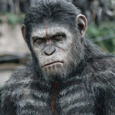 Фильм «Планета обезьян: Революция»: …и фото с обезьянкой, пожалуйста :  
