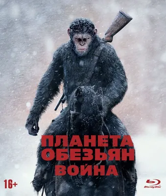 Обои картинки фото восстание планеты обезьян | Monkey pictures, Monkey  wallpaper, Planet of the apes