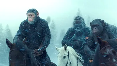 Планета обезьян 4: Новое царство (2024) фильм смотреть онлайн бесплатно
