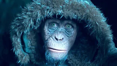 Планета обезьян: Революция»: кто есть кто в новом фильме - Вокруг ТВ.