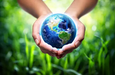 Руки Земля Следующее Поколение - Бесплатное фото на Pixabay - Pixabay