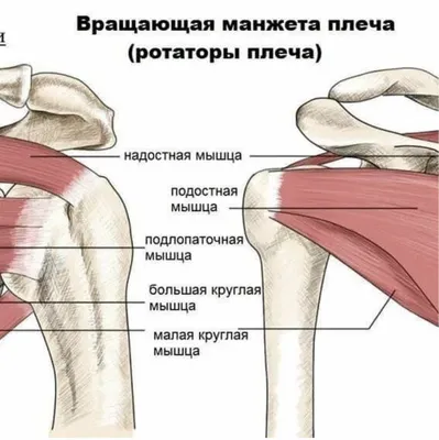 Синдром замороженного плеча - причины, симптомы, лечение, реабилитация