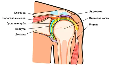 Боль в плече