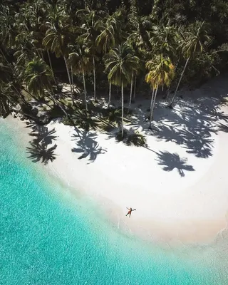 Картинки пляжа с пальмами - 63 фото