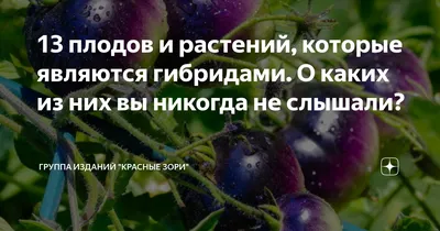 ТОП-10 Плодовых растений - источников витаминов | Интернет-магазин садовых  растений