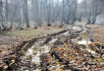 Плохая погода... / И в декабре была, и пока в январе еще