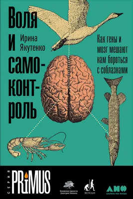 Как работают гены на примере производства хлеба и биосинтеза Серотонина.  Также о 5-HTP и депрессии / Хабр