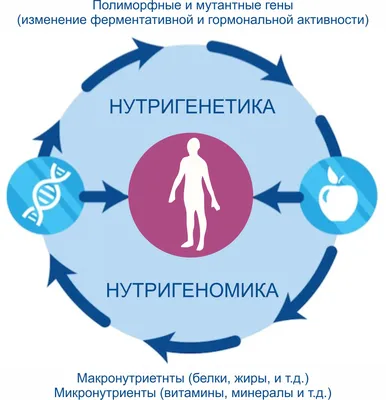 Крокодил Гена и его друзья — Википедия