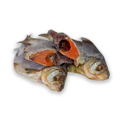 Плотва вяленая купить по выгодным ценам в Киеве, заказать Рыба вяленая и  сушеная онлайн в интернет магазине морепродуктов 