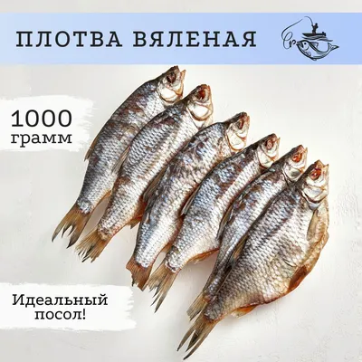 Клюёт ли плотва при воде +5 С ?! - Рыбалка в Украине