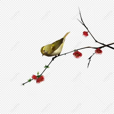 Птицы и цветы изображение_Фото номер 401265199_PSD Формат  изображения_