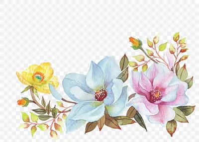 красивые цветы PNG рисунок, картинки и пнг прозрачный для бесплатной  загрузки | Pngtree