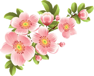 Блог Колибри: PNG клипарт "Весенние цветы"