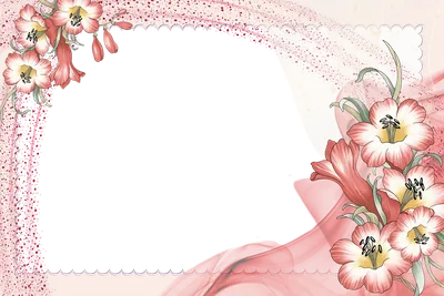 Lotus flower PNG transparent image download, size: 1200x975px