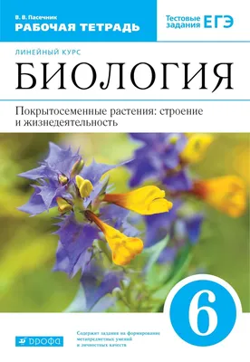 Биология. 6 класс Николай Лисов : купить в Минске в интернет-магазине —  