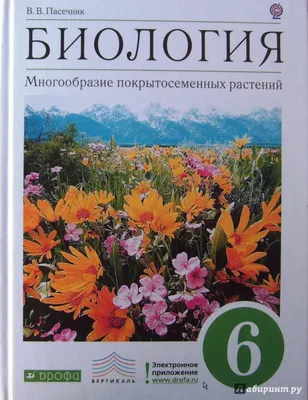 Тесты по биологии. 6 класс. К учебнику В. В. Пасечника и др. 2023 |  Пасечник В.В., Ефимова Т.М., Дмитриева Т.А., Швецов Г.Г., купить в магазине  Школьный остров Авалон.