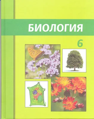 Биология 6 класс. Базовый уровень. Учебник к новому ФП. ФГОС Просвещение  151532702 купить за 1 459 ₽ в интернет-магазине Wildberries