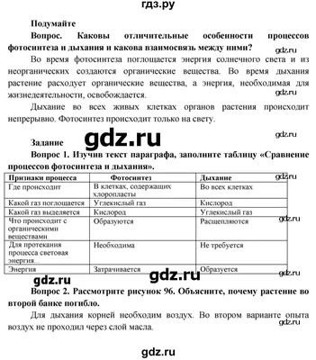 Рабочая тетрадь по биологии: 6 класс: к учебнику В. Пасечника "Биология. 6  класс" (Наталья Преображенская) - купить книгу с доставкой в  интернет-магазине «Читай-город». ISBN: 978-5-37-710205-2