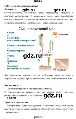 Биология. 6 класс. Учебник - Сивоглазов В.И., Плешаков А.А. | Купить с  доставкой в книжном интернет-магазине  | ISBN: 978-5-09-088212-5