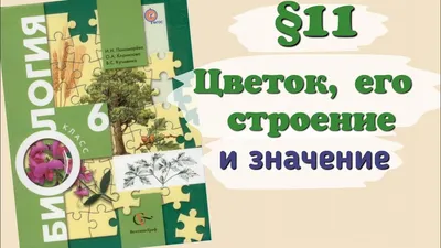 РАБОЧАЯ ТЕТРАДЬ ПО БИОЛОГИИ.6КЛАСС Экзамен 18484801 купить в  интернет-магазине Wildberries