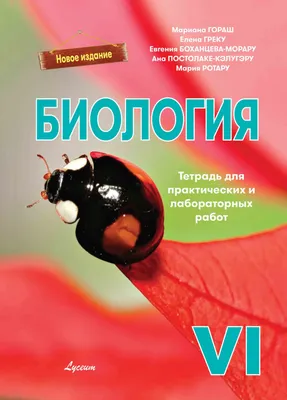 Биология. 6 класс. Опорные конспекты, схемы и таблицы Николай Лисов :  купить в Минске в интернет-магазине — 