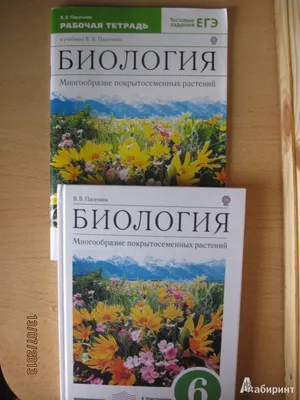 Иллюстрация 6 из 53 для Биология. 6 класс. Многообразие покрытосеменных  растений. Учебник. Вертикаль. ФГОС - Владимир Пасечник | Лабиринт - книги.  Источник: Californis