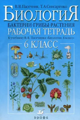 Биология. 6 класс. Живые организмы. Растения. Бактерии. Грибы. Учебник.  ФГОС - Трайтак Д.И., Трайтак Н.Д., Купить c быстрой доставкой или  самовывозом, ISBN 978-5-346-04413-0 - КомБук ()