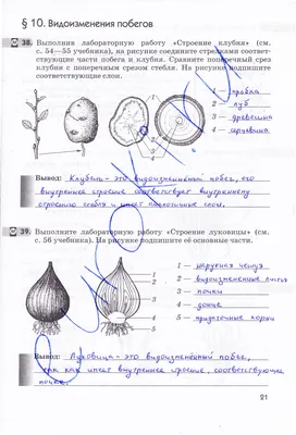 Рабочая тетрадь по биологии 6 класс, задание номер стр. 21