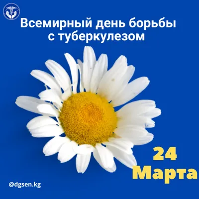 24 марта — Всемирный день борьбы с туберкулезом — Дивногорье — музей  заповедник