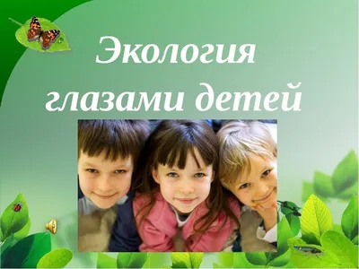 Экологические викторины с ответами для дошкольников, школьников сайта  "Гордость России"