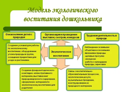 Издательство "Детство-Пресс" | Занимательная экология. Рабочая тетрадь для  детей старшего дошкольного возраста.(с 5 до 6 лет). ФГОС.