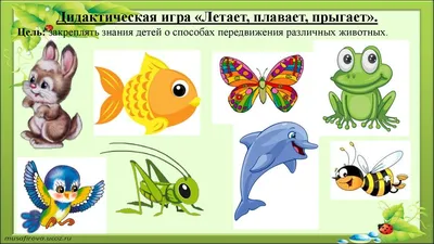 Пермские школьники могут принять участие во Всероссийской олимпиаде по  экологии и окружающему миру | Союз-ТВ