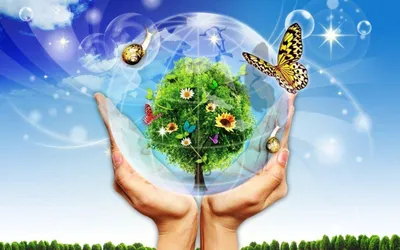 Экология и права: взаимодействие науки и общества» — создано в Шедевруме