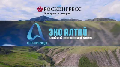 Экологические проблемы 2023 | 7Дней.ru