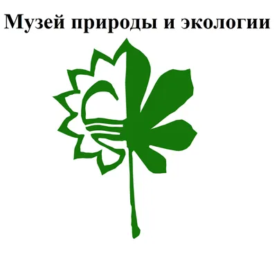 И нам дана на всех одна – планета хрупкая Земля»: цикл мероприятий  муниципальных библиотек города Ельца ко Дню экологических знаний —  Администрация городского округа город Елец