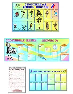 Как сделать уроки физкультуры интересными и полезными | Где учиться и  работать | Дзен