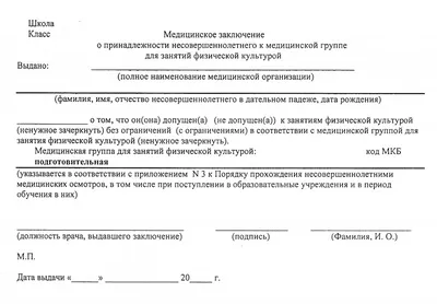 Спорт и физкультура в школе