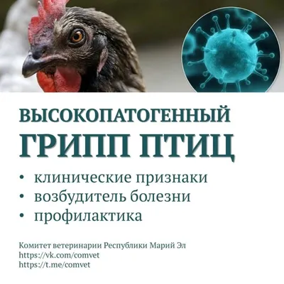 Осторожно, грипп! | Администрация Городского округа Подольск