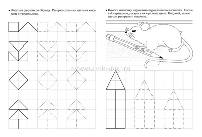 Тренажёр. Рисуем по клеточкам: для детей 4 лет – купить по цене: 27 руб. в  интернет-магазине УчМаг