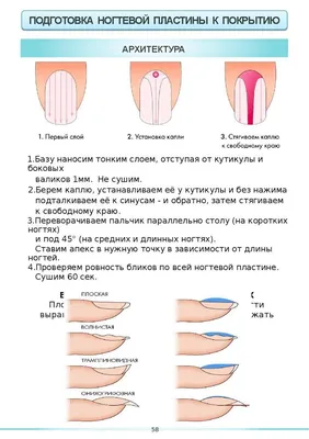 Методическое пособие мастера маникюра - презентация онлайн | Маникюр,  Инструменты для маникюра, Маникюр в домашних условиях