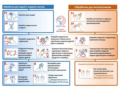 Как правильно мыть руки скачать инструкцию. Дезинфекция рук в картинках.