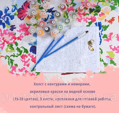 Картина по номерам Кот Гуцул ©marysha_art (Brushme BS53277) купить недорого.