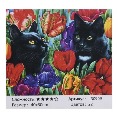 Картина по номерам на холсте "Коты и рыбки" (арт. 231-AB) от Белоснежка по  оптовой цене со склада в Минске.