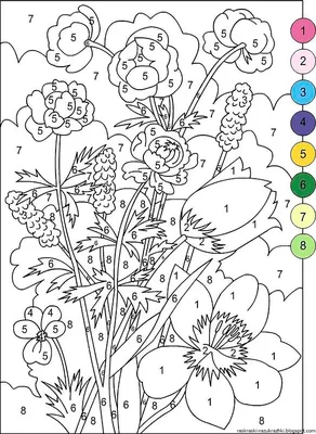 Раскраска по номерам цветы для детей - 45 фото