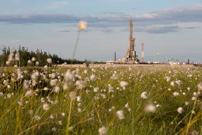 7 важных аргументов в пользу охраны окружающей среды – ЛИВЕНЬ