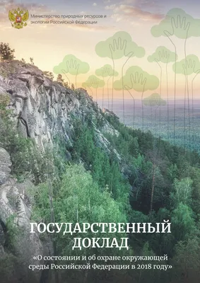 Об ответственности за нарушение законодательства об охране окружающей среды  - Новости - Сетевое издание ""