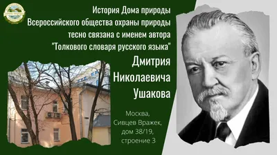 МИНЭКОЛОГИИ ПОДДЕРЖАЛО ТРЕБОВАНИЯ ЛСА ОБ ОХРАНЕ ПРИРОДЫ ВИДНОВСКОГО ЛЕСА! |  Ленинский Совет Активистов | Дзен