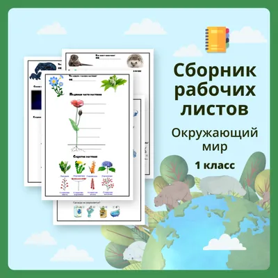 Окружающий мир. 4 класс. Тесты к учебнику А. А. Плешакова. К новому ФПУ.  Часть 2 Тихомирова Е.М. - купить с доставкой по выгодным ценам в  интернет-магазине OZON (731655077)